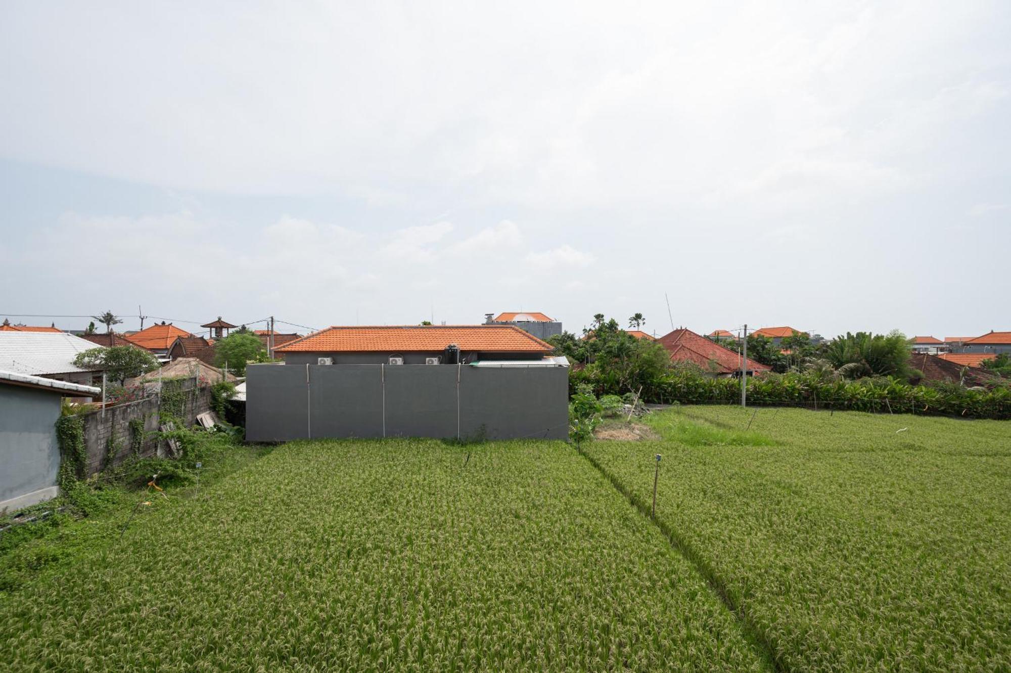 Agung Homestay Canggu Mitra Reddoorz Екстер'єр фото